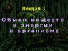 Обмен веществ и энергии в организме