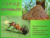 Город муравьёв