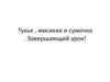 Тухья, мисиххи и сумочка. Завершающий урок