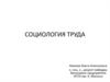 Социология труда