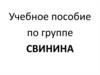 Учебное пособие по группе СВИНИНА