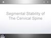 Segmental Stability of The Cervical Spine
