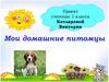 Проект «Мои домашние питомцы»