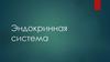 Эндокринная система