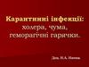 Карантинні інфекції. Холера, чума, геморагічні гарячки