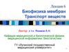 Биофизика мембран Транспорт веществ. (Лекция 6)