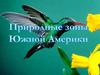 Природные зоны Южной Америки