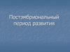 Постэмбриональный период развития