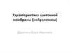 Характеристика клеточной мембраны (нейролеммы)