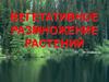 Вегетативное размножение растений