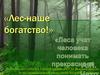 Лес - наше богатство