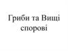 Гриби та вищі спорові