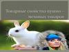 Товарные свойства пушно – меховых товаров
