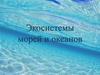 Экосистемы морей и океанов