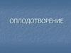 Оплодотворение. Строение половых клеток