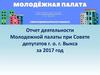 Отчет деятельности Молодежной палаты при Совете депутатов г. о. г. Выкса за 2017 год