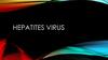 Hepatites virus