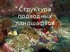 Структура подводных ландшафтов