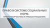Право в системе социальных норм. Правотворчество и правоотношения