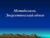 Метаболизм. Энергетический обмен