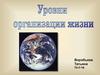 Уровни организации жизни