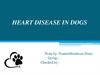 Heart disease in dogs