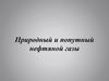 Природный и попутный нефтяной газы