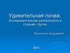 Удивительная почва. Экспериментальная деятельность в старшей группе
