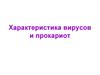Характеристика вирусов и прокариот