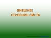 Внешнее строение листа