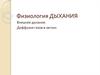 Физиология дыхания. Внешнее дыхание. Диффузия газов в легких
