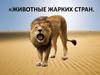 Животные жарких стран