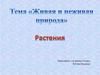 Живая и неживая природа. Растения