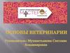Основы ветеринарии
