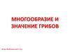 Многообразие и значение грибов