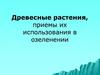 Древесные растения, приемы их использования в озеленении