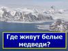 Где живут белые медведи