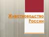 Животноводство-России