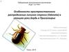 Особенности пространственного распределения личинок стрекоз (Odonata) в стациях реки Бердь в Присалаирье