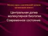 Молекулярно-генетический уровень организации живого