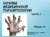 Основы медицинской паразитологии
