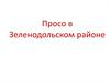 Просо в Зеленодольском районе