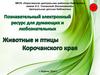Животные и птицы Корочанского края