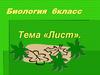 Лист. Процессы в листьях