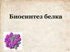 Биосинтез белка