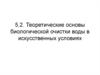 Теоретические основы биологической очистки воды в искусственных условиях