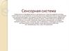 Сенсорная система