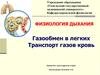 Газообмен в легких. Транспорт газов кровью