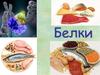 Белки. Качественный состав белков