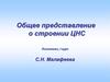 Общее представление о строении ЦНС